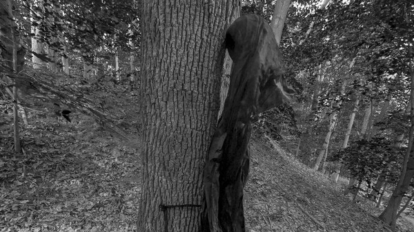 Скриншот из Wardwell House VR