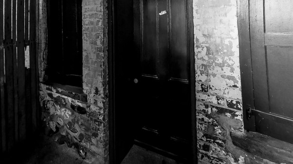 Скриншот из Wardwell House VR