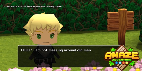 Скриншот из Amaze Adventure