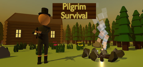 The Pilgrim Survival Cover Image