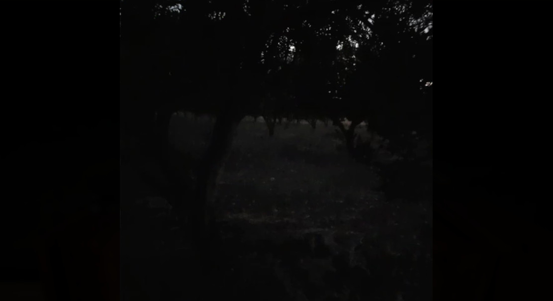 KaraDedeler 1989 #10