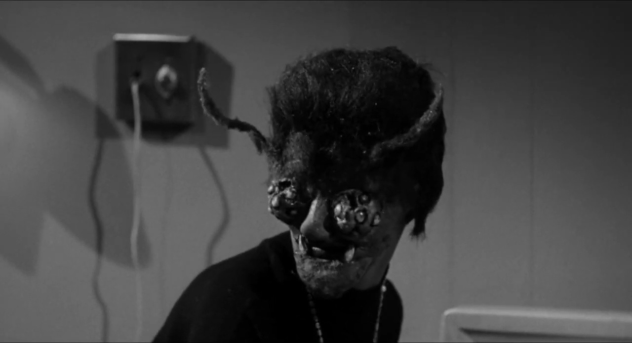 ROUGH KUTS: The Wasp Woman screenshot screenshot 8