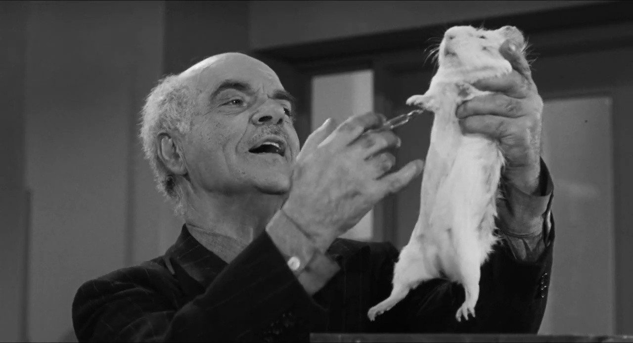 ROUGH KUTS: The Wasp Woman screenshot screenshot 4