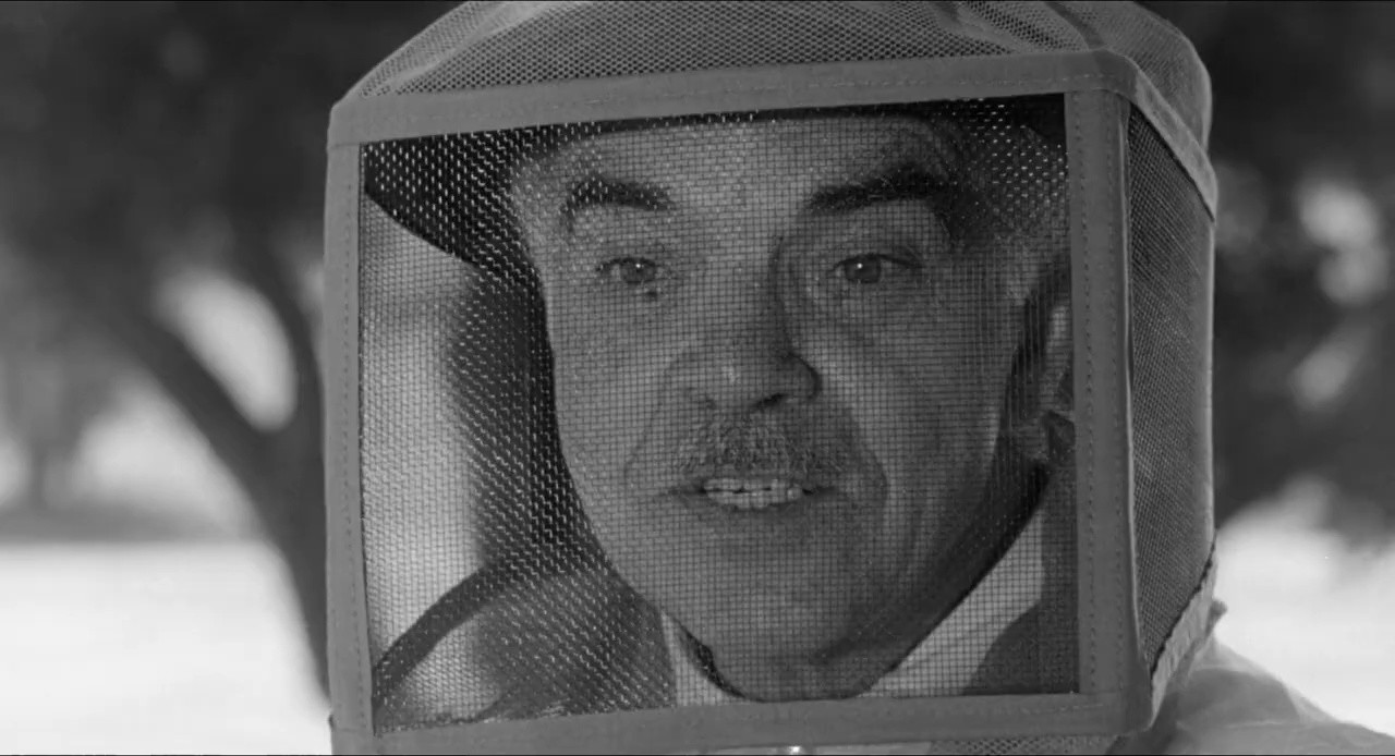 ROUGH KUTS: The Wasp Woman screenshot screenshot 2