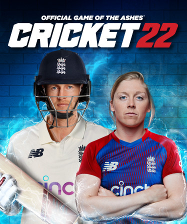 Cricket 22