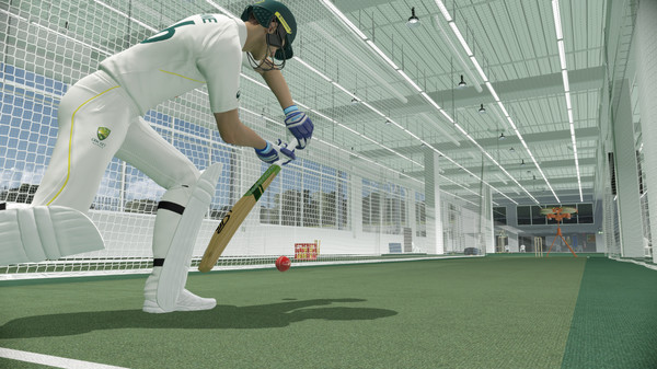 Скриншот из Cricket 22