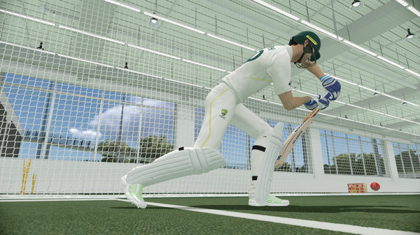 Cricket 22 game for Linux 1