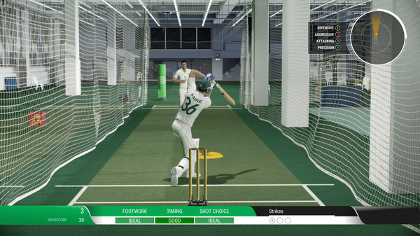 Скриншот из Cricket 22