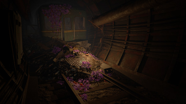 Paradox of Hope VR screenshot 6