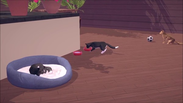скриншот Cat Café Simulator 2