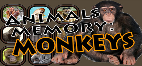 Animals Memory: Monkeys Cover Image