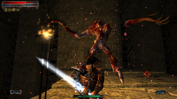Blade of Darkness capture d'écran