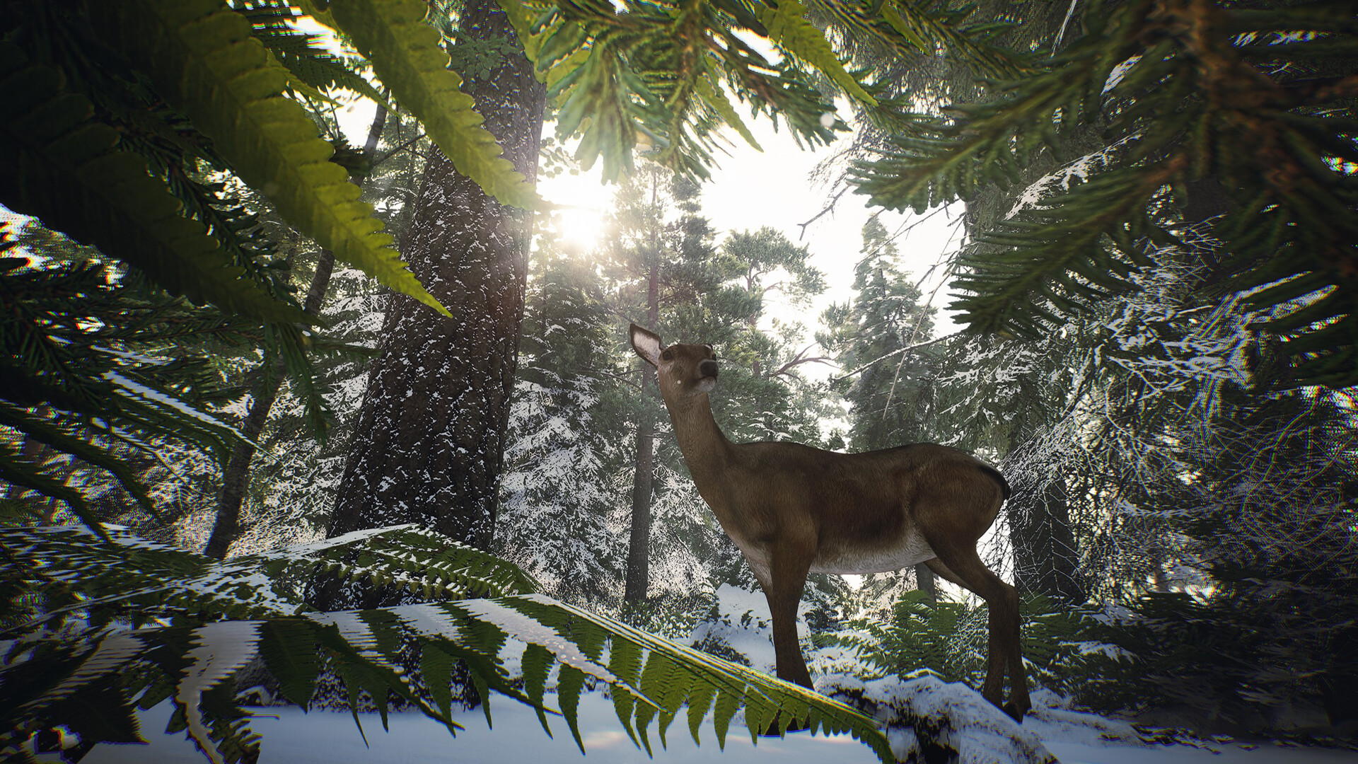 Skye: The Misty Isle #2