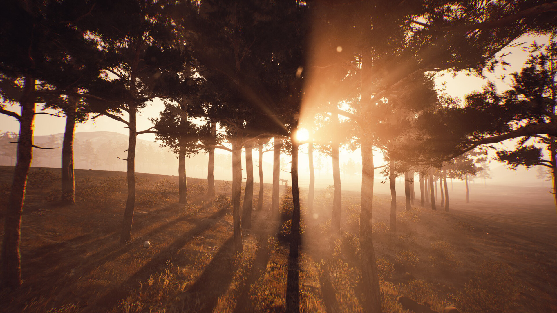 Skye: The Misty Isle #8