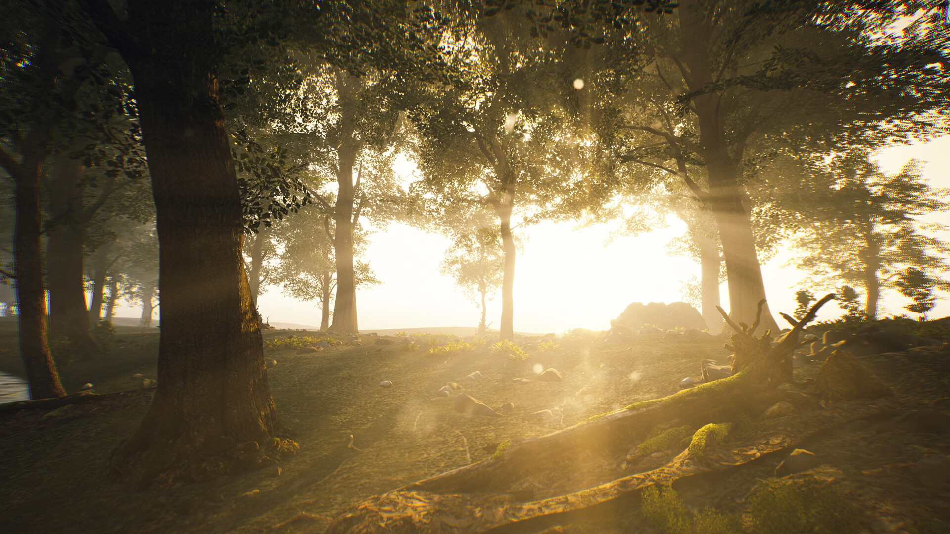 Skye: The Misty Isle #5