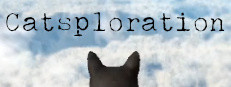 Catsploration