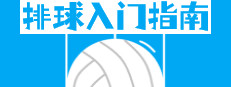 排球入门指南 게임 이미지