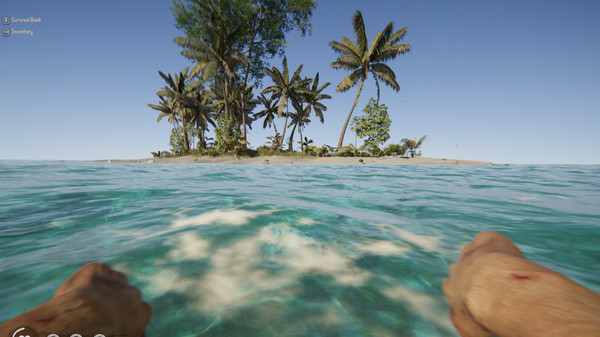 Скриншот из Project Castaway