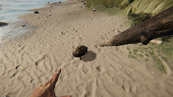 Скриншот из Project Castaway