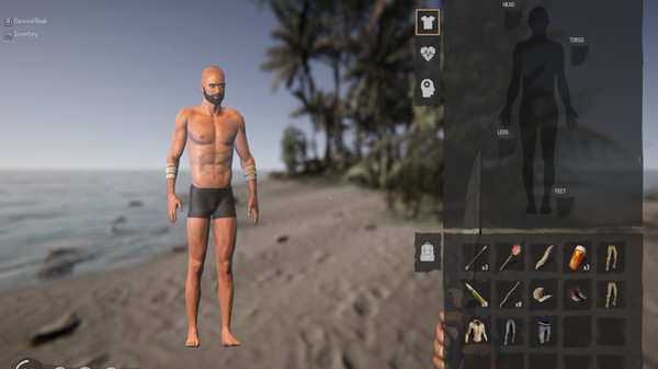 Скриншот из Project Castaway