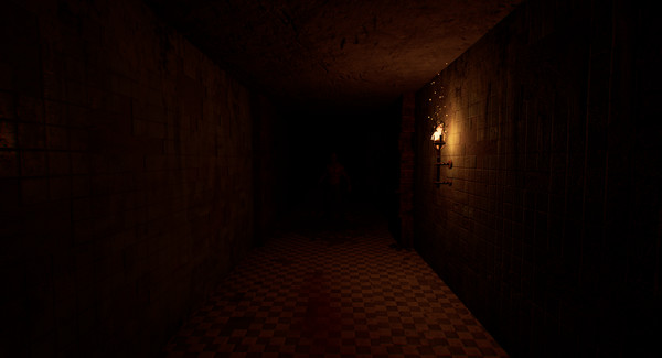 Mystery - Adam's Bonefor windows and Linux 1