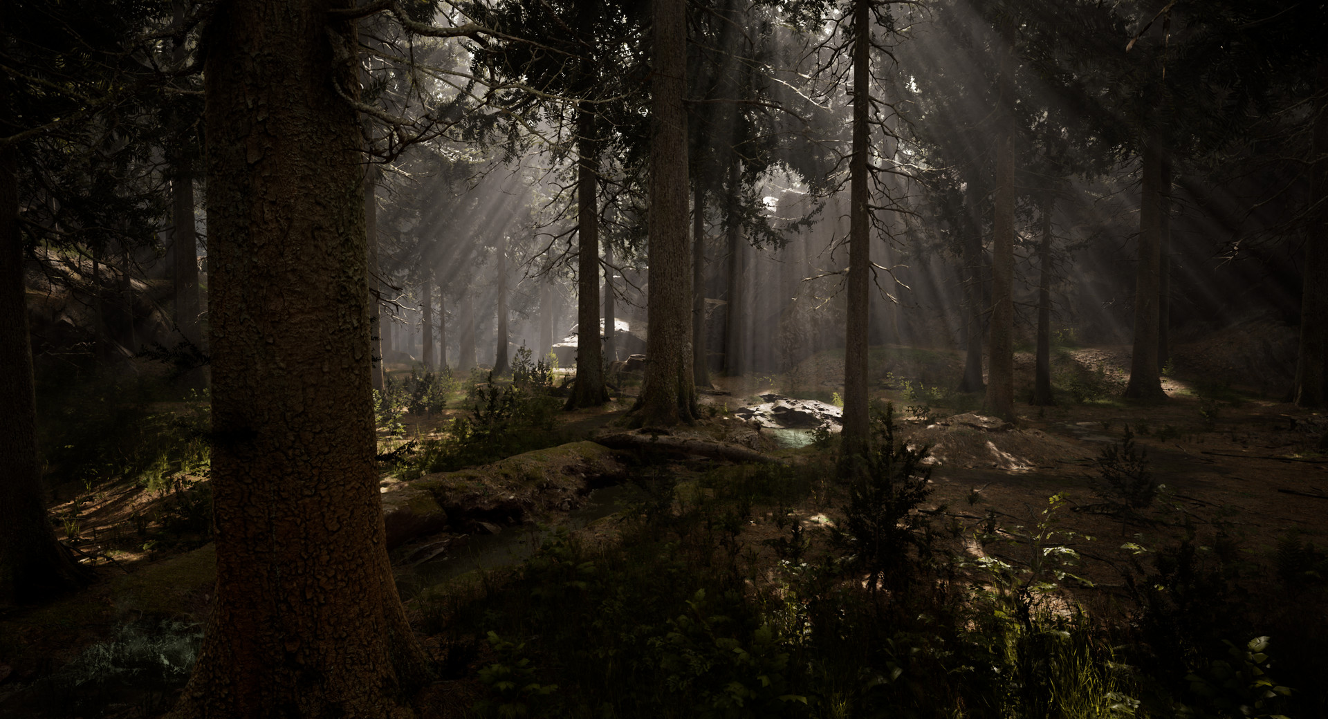 Mystery - Adam's Bone 的图片