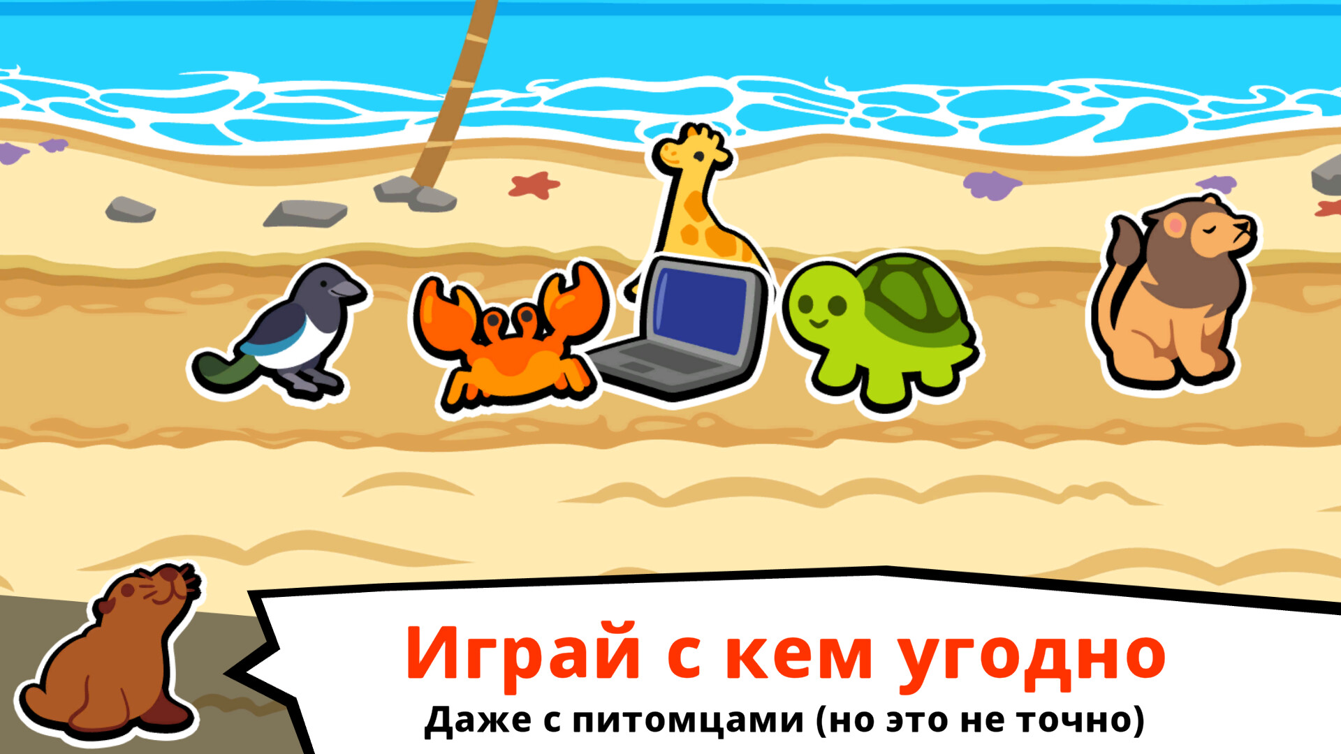 Media 5