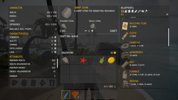 Скриншот из Pirates of the Sea