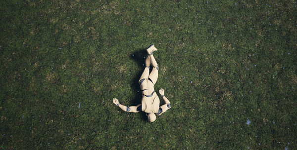 SANITYfor windows and Linux 1