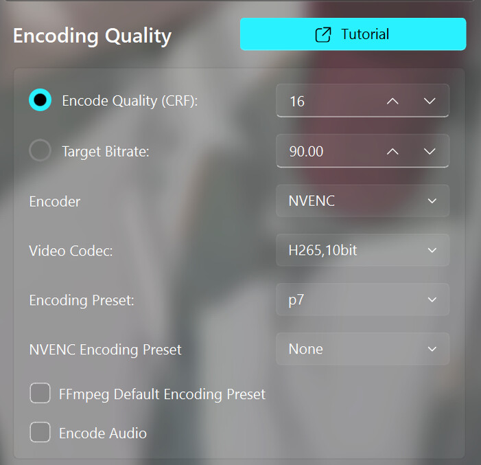 SVFI - Professional #3