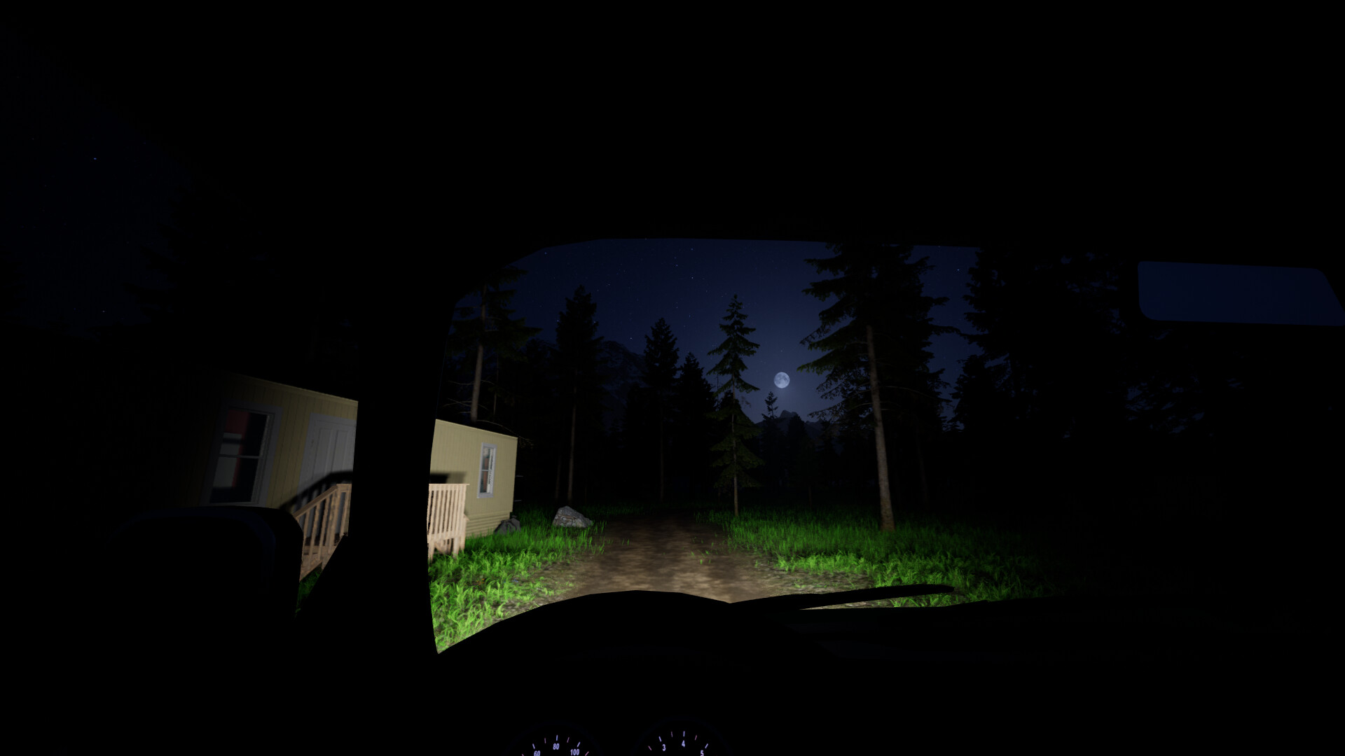 Illegal Plantation #3