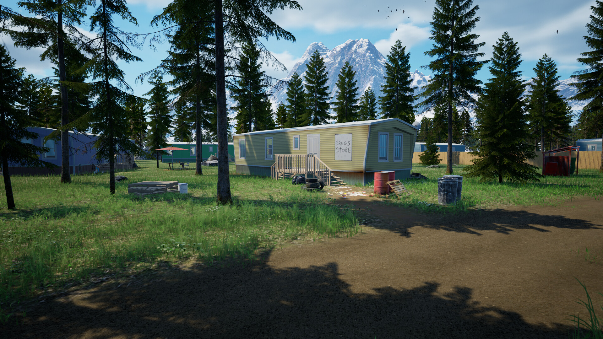 Illegal Plantation #0