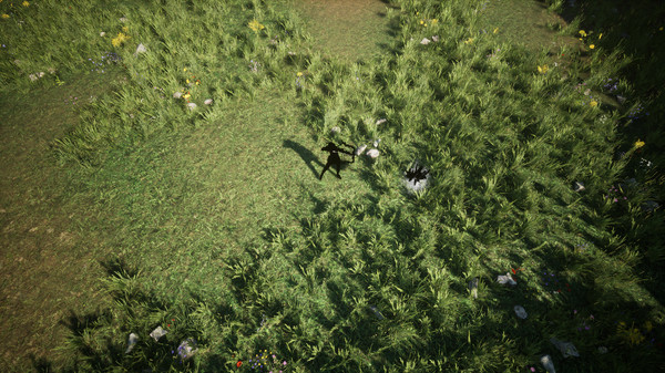 Shades Of Rayna - Damage Type Pets