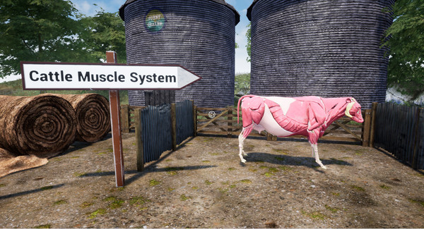 Скриншот из Cattle 101 Library Sampler Скриншот из Cattle 101 Library Sampler