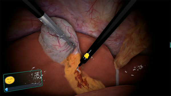 скриншот Surgical Robot Simulator 0