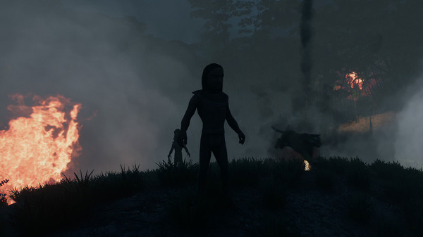 Скриншот из Veil of the Volcano