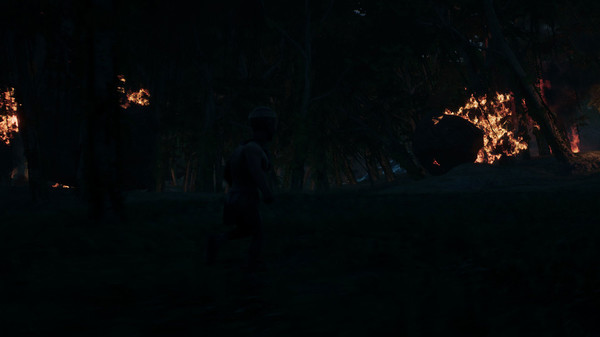 Скриншот из Veil of the Volcano