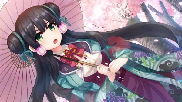 Скриншот из Bokuhime Project