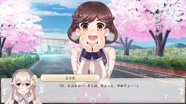 Скриншот из Bokuhime Project