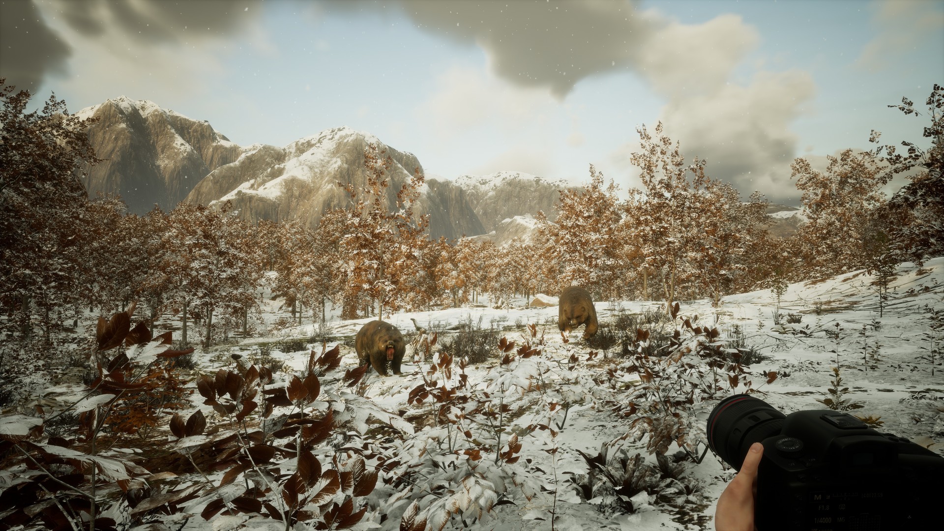 Photography Simulator #3