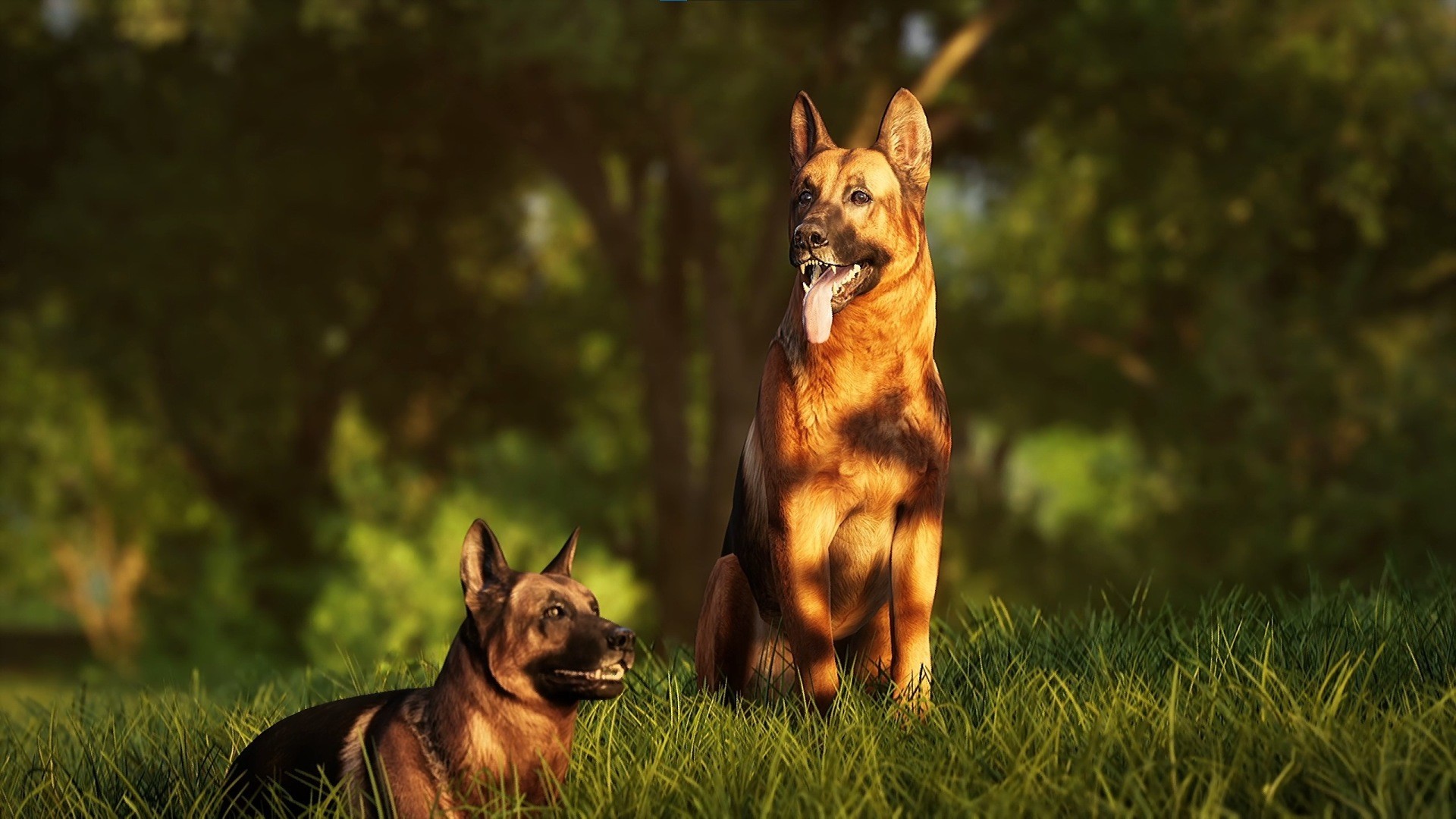 Photography Simulator #2