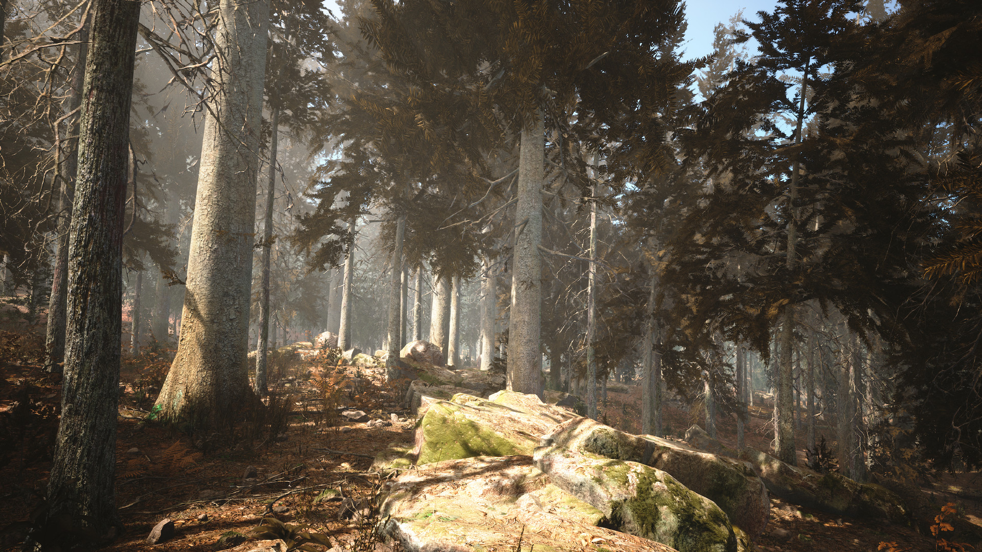 Photography Simulator #4