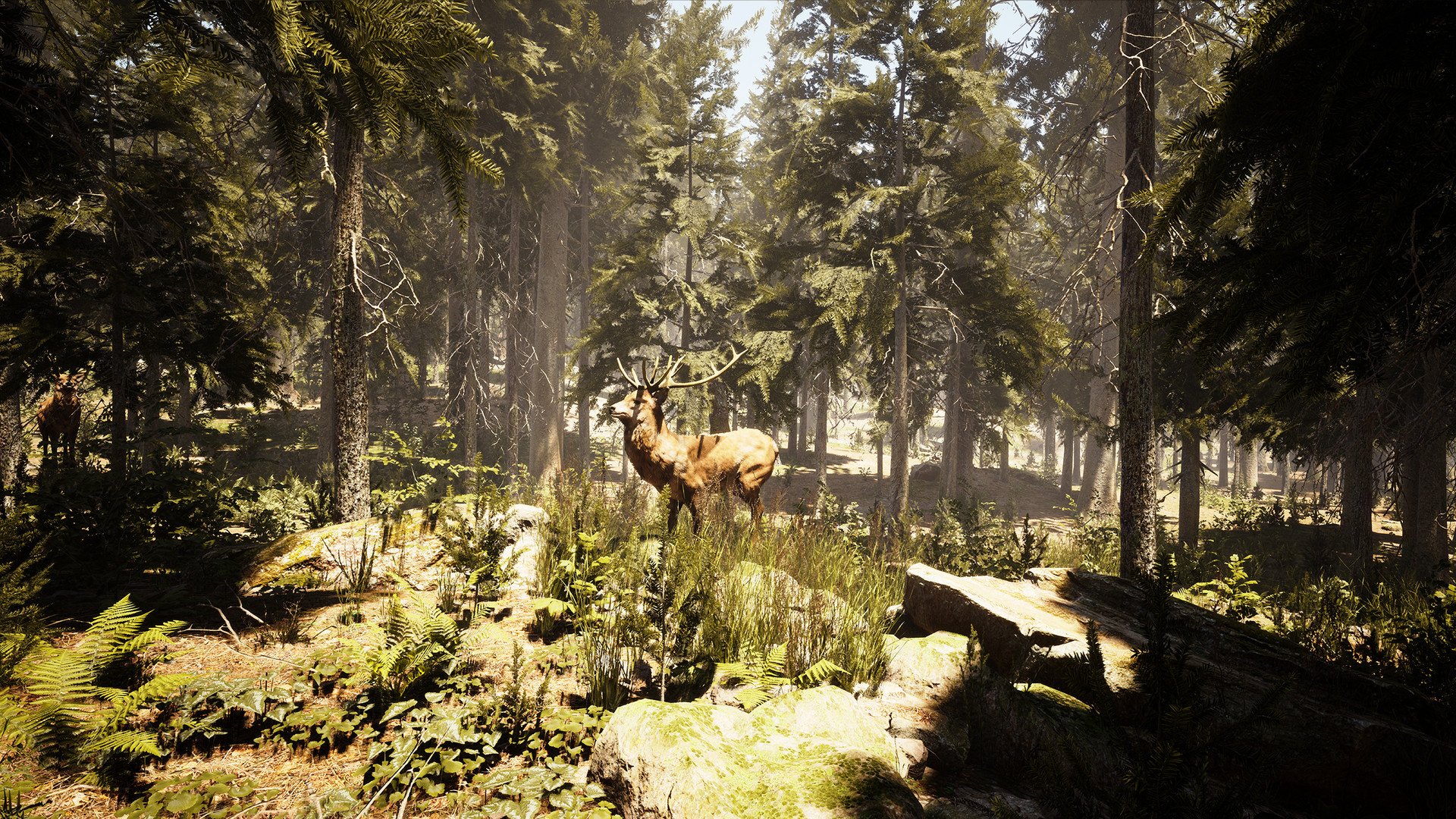 Photography Simulator #9