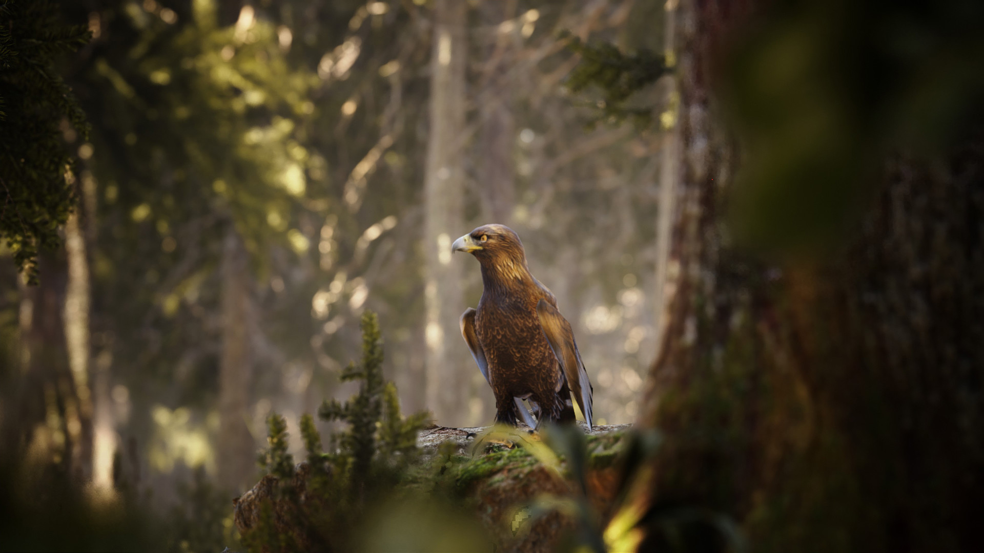 Photography Simulator #6