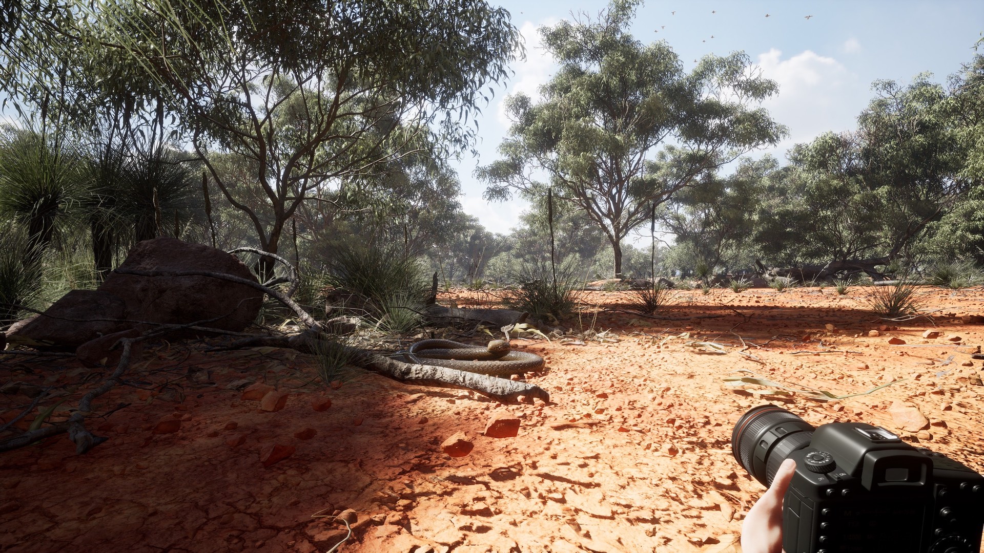 Photography Simulator #7