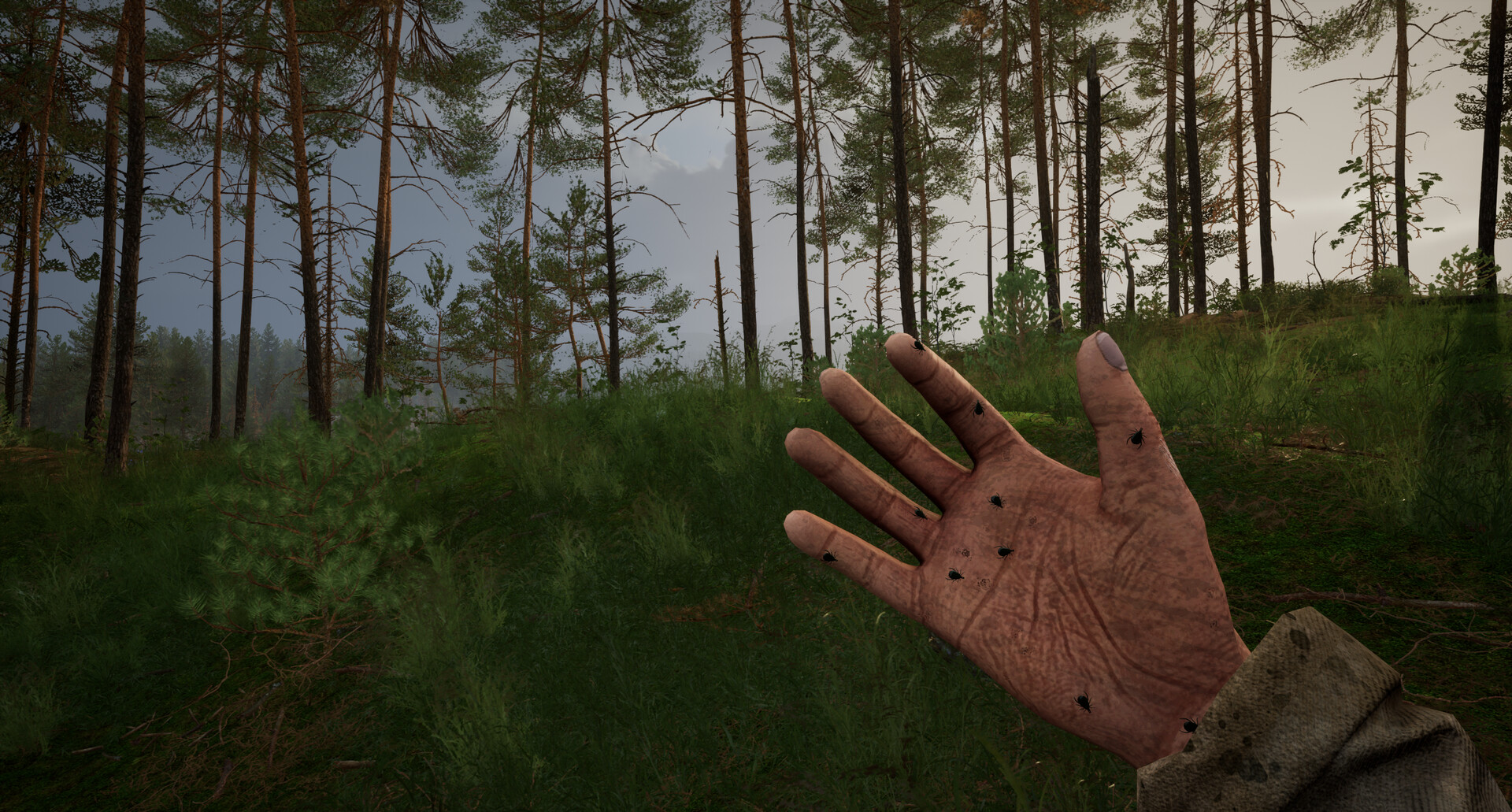 TUNGUSKA: A Call in the Woods в Steam