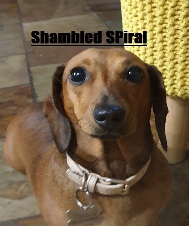 Shambled Spiral