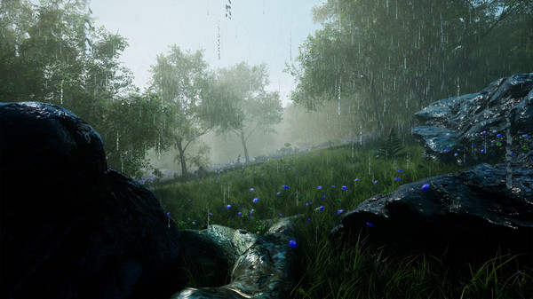 RPGScenery - Light Forest Scene