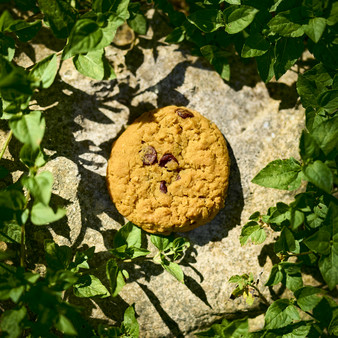 скриншот Cookie Clicker Soundtrack 0