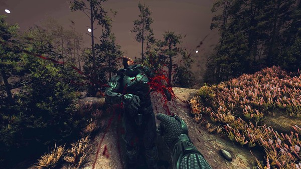 скриншот Knights Risen 2